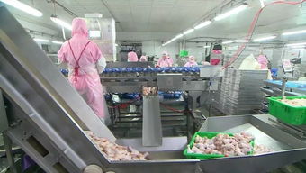 慶云和美食品銷售額突破2億元，產(chǎn)業(yè)興旺助力周邊就業(yè)改善